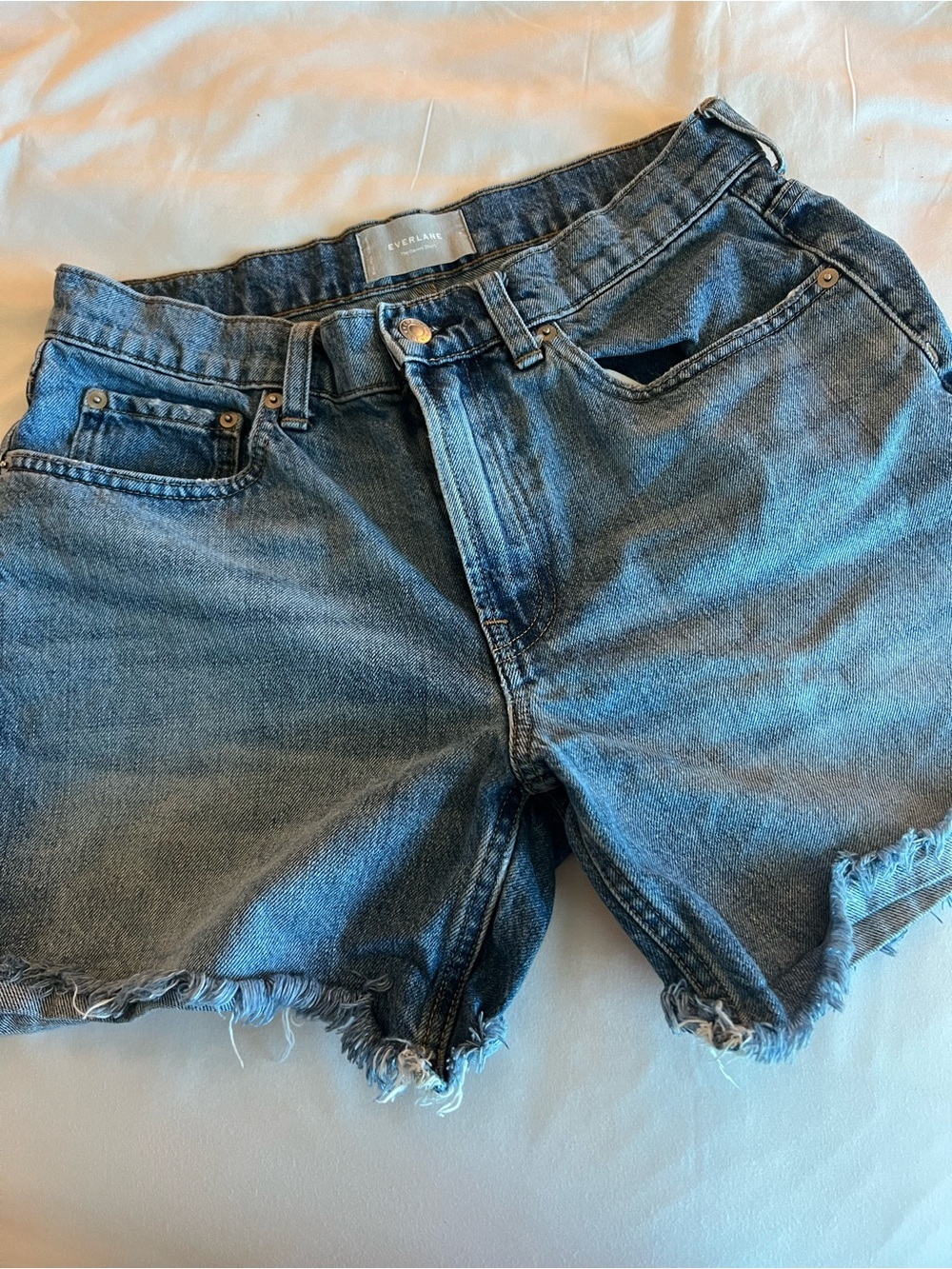 Everlane The Denim Short Relaxed High Rise Frayed Hem Size 28